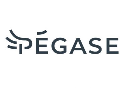 pegase-400x284